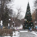 В Якутске поставят новогоднюю елку дороже, чем на Манхеттене