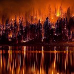Площадь лесных пожаров на Дальнем Востоке за сутки выросла на 9 тыс. га