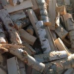 В Забайкалье недоступные для населения дрова заменят сбором валежника