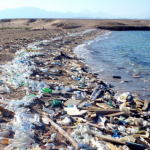 Крупные международные компании объединили усилия для борьбы с загрязнением пластиком