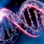 Ученые-генетики изменят ДНК человека