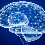 Ученые выяснили, какая область мозга отвечает за чувство прекрасного