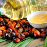 Украина впервые за 4 сезона снизила импорт пальмового масла