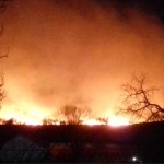 Под Одессой горят заповедники: ветер раздувает пожар 