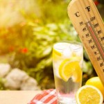 Основные правила питания в жаркую погоду
