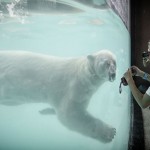 Существа из далекого прошлого, которых случайно нашли во льду