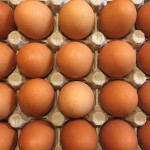 Ученые рассказали об удивительной пользе сваренных вкрутую яиц